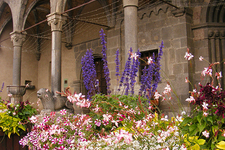 visites 02