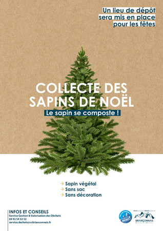 Collecte Sapin